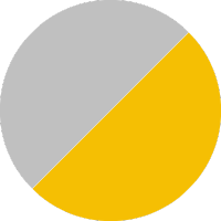 Transparent Gray / Golden